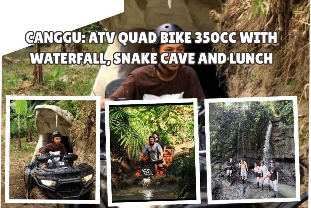 Canggu ATV Quad Bike 350cc with Waterfall, Snake Cave and Lunch